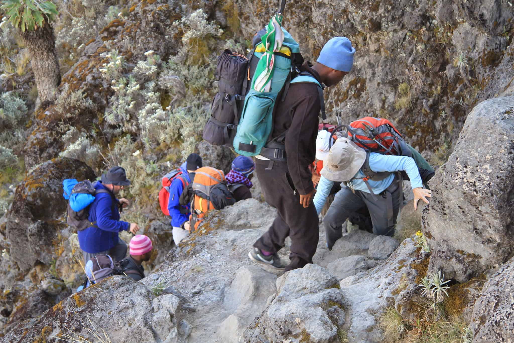 Top beginner group tours for Kilimanjaro climbing