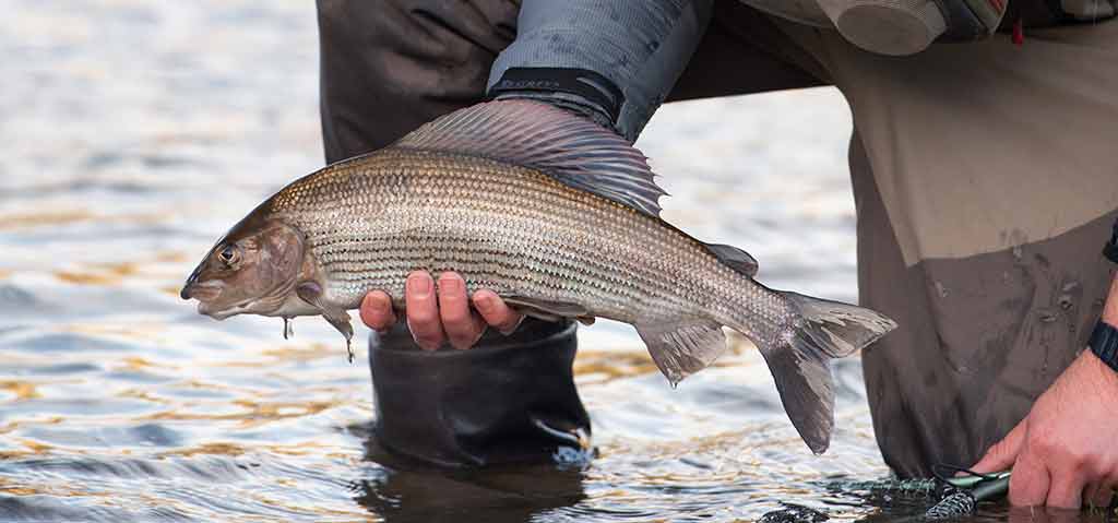 Traditional fishing trips Dar es Salaam