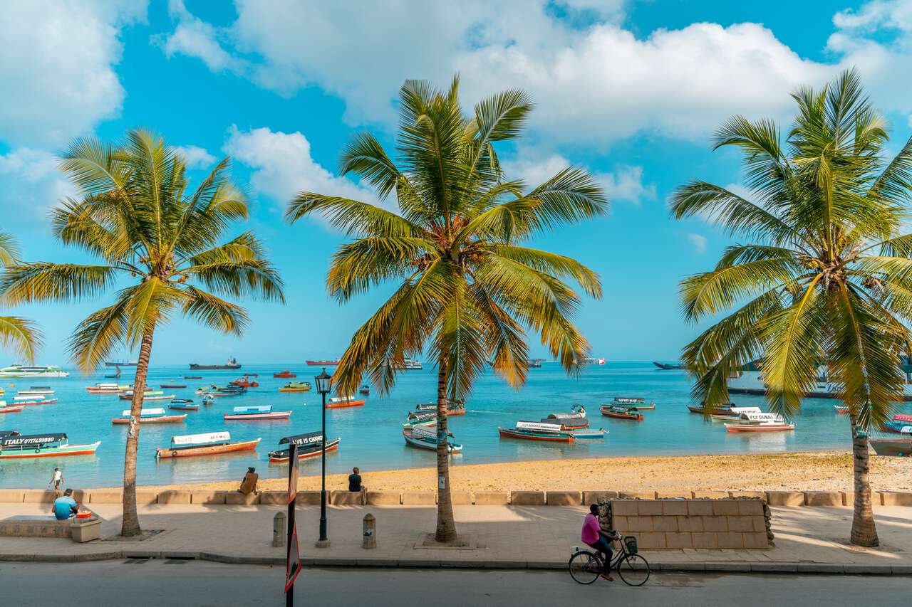 Unique things to do in zanzibar