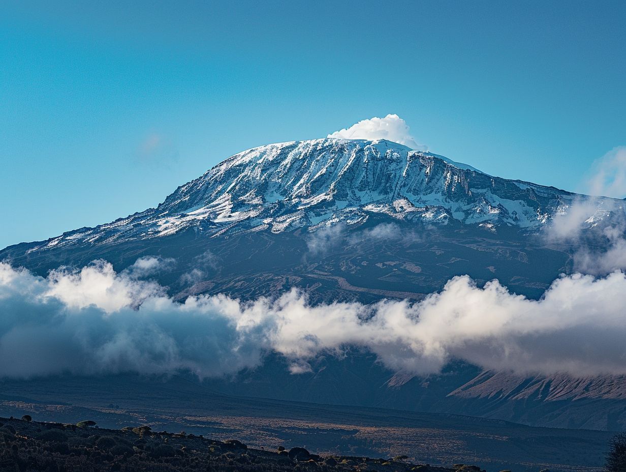 What are the best viewing points on Kilimanjaro?