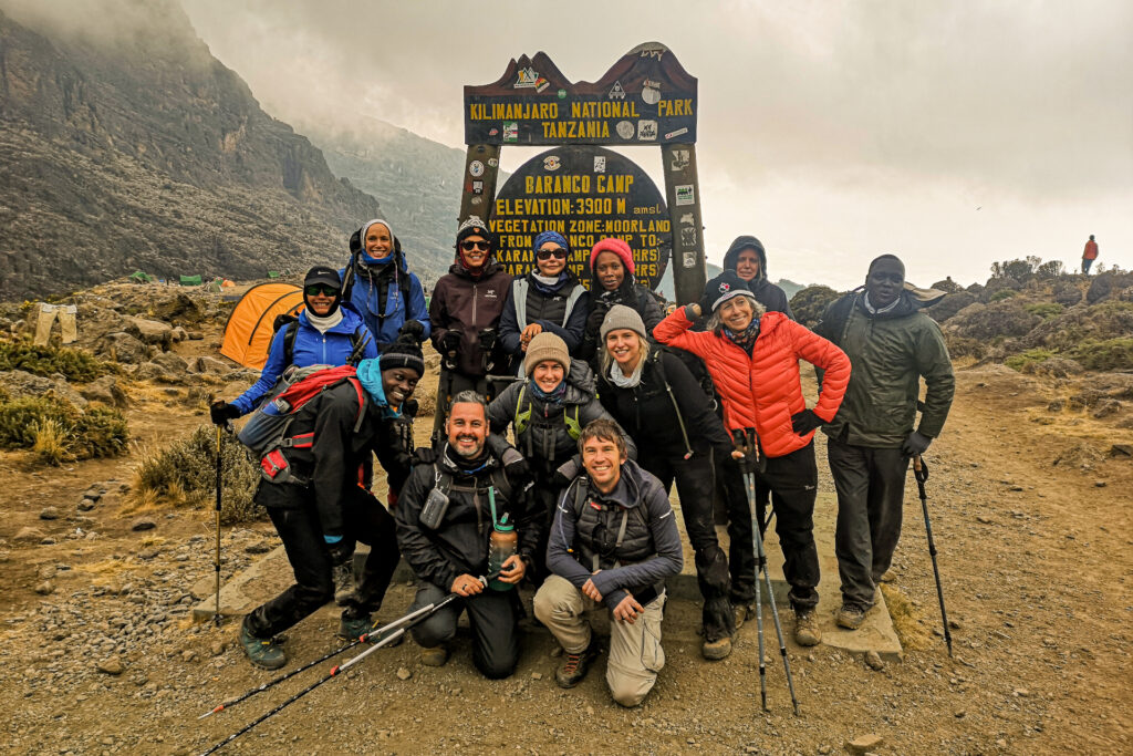 What are the chances of reaching the summit?