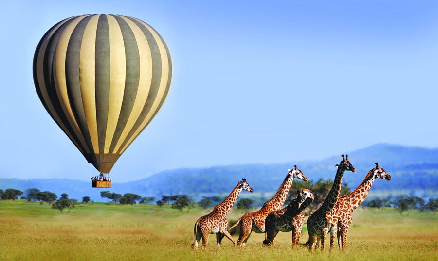 What are the most popular safaris in Tanzania?