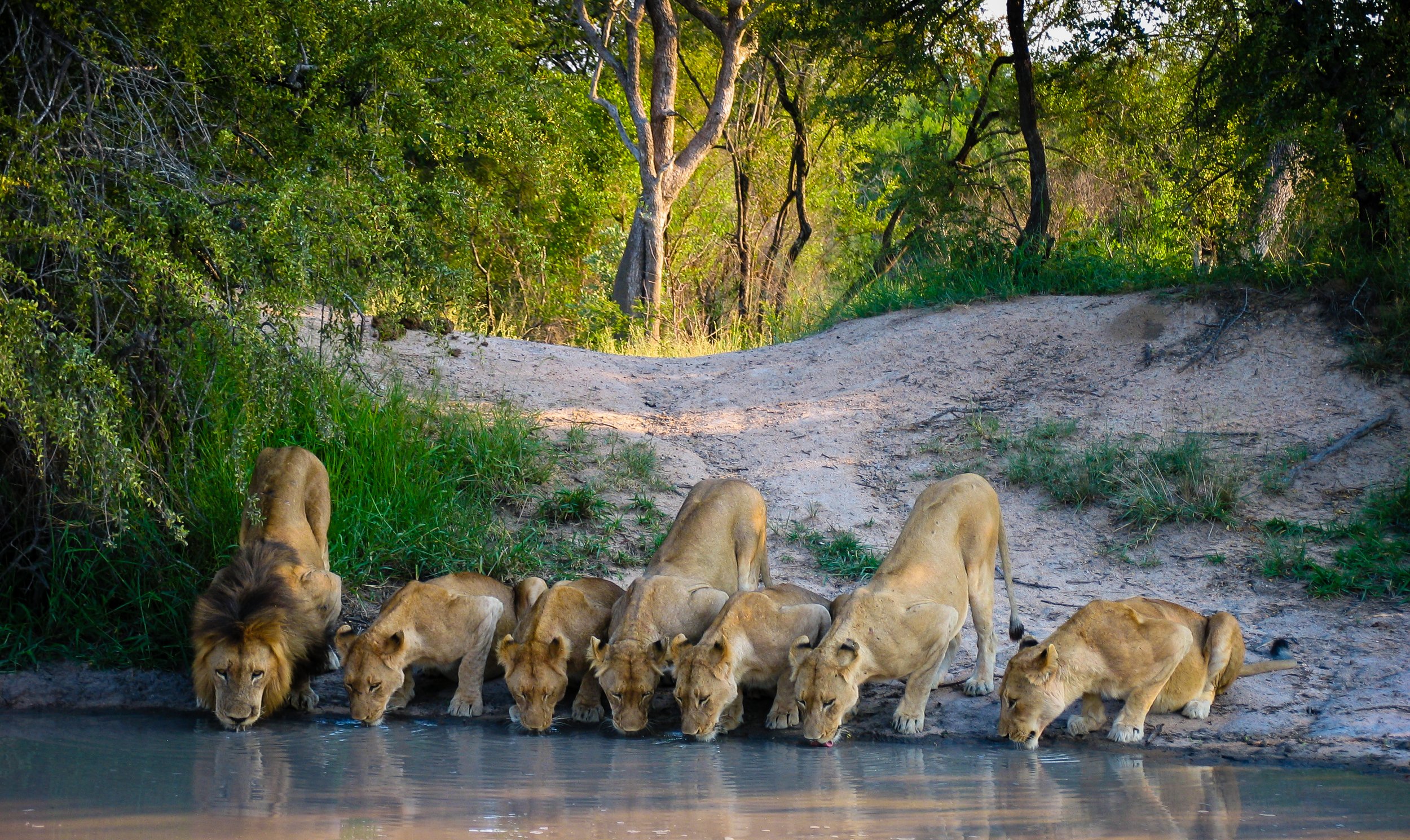 What is the best Tanzania safari for first-time visitors?