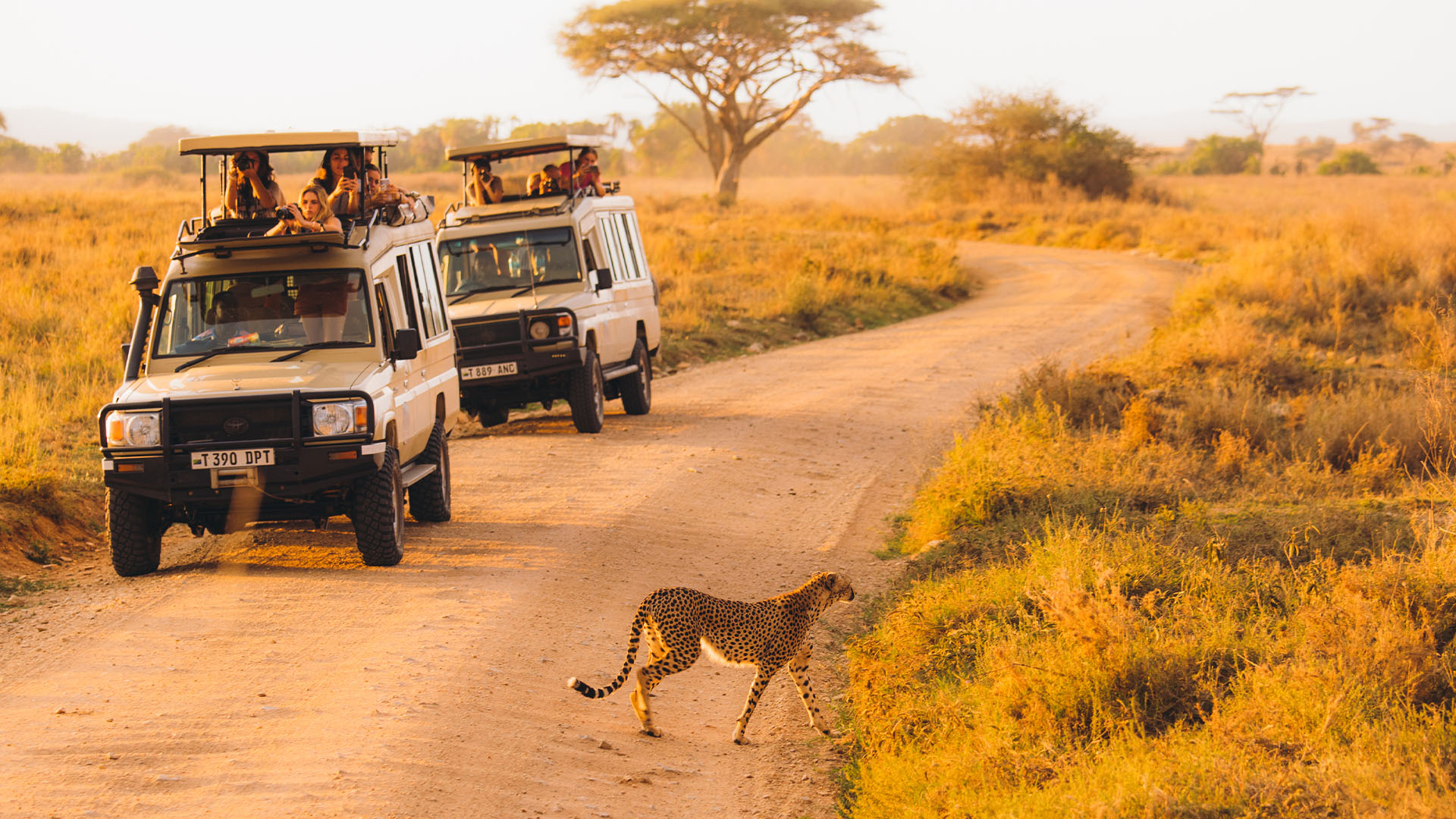 What is the best way to travel between Tanzania safari parks?