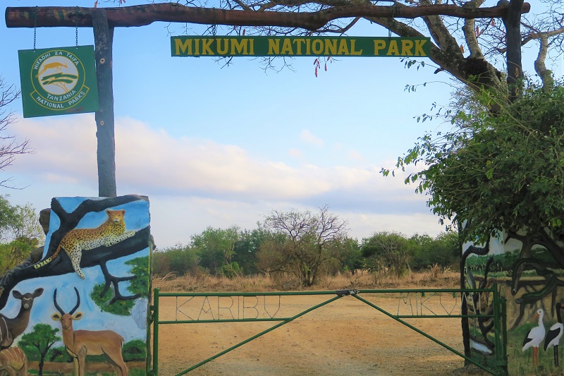 Where is Mikumi National Park located?