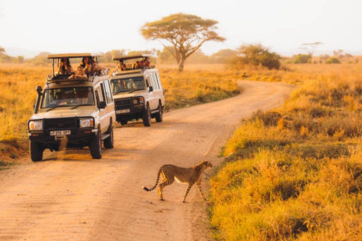 affordable Budget Tanzania safari join group August 2025