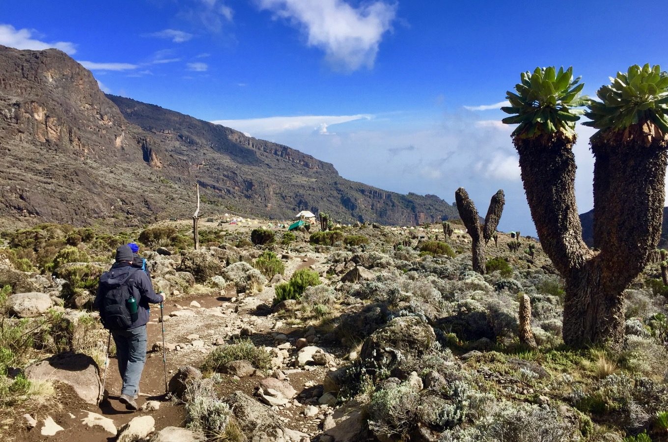 7-day Machame Route trek and stand top of Mt Kilimanjaro