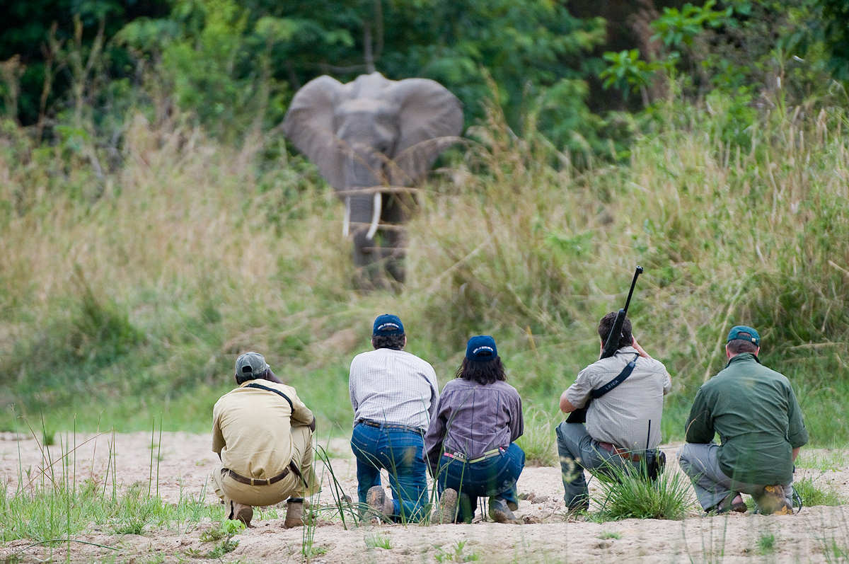 What’s the difference between a game drive and a walking safari in Tanzania?