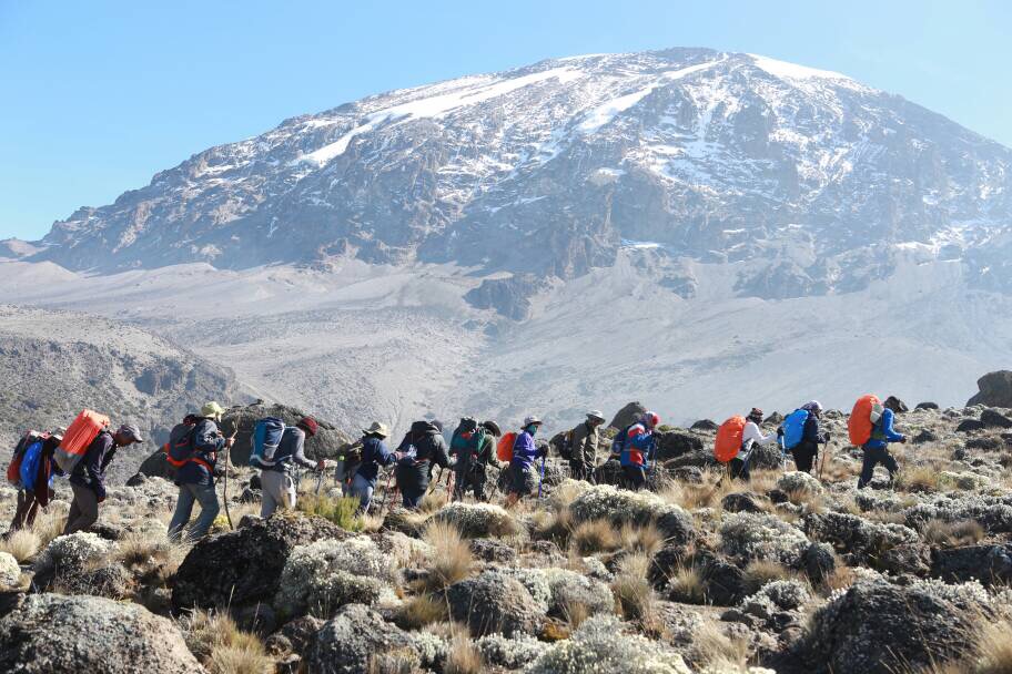 7 Tage Lemosho Route Kilimanjaro Reiserouten