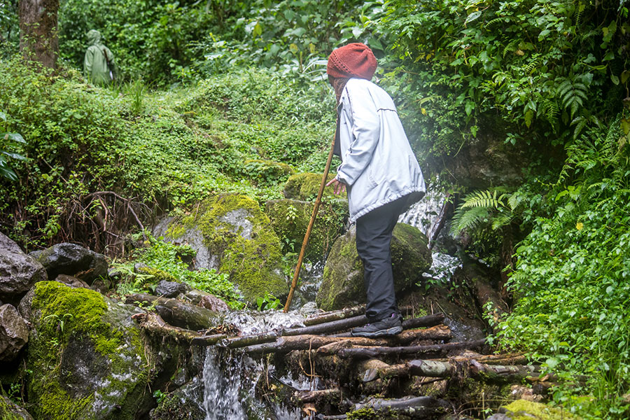 Is it possible to go on a luxury safari in Tanzania on a budget?