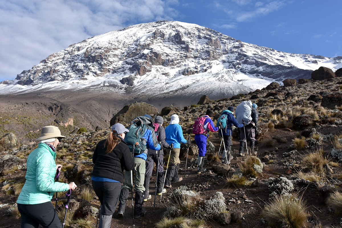 Kilimanjaro short term climb