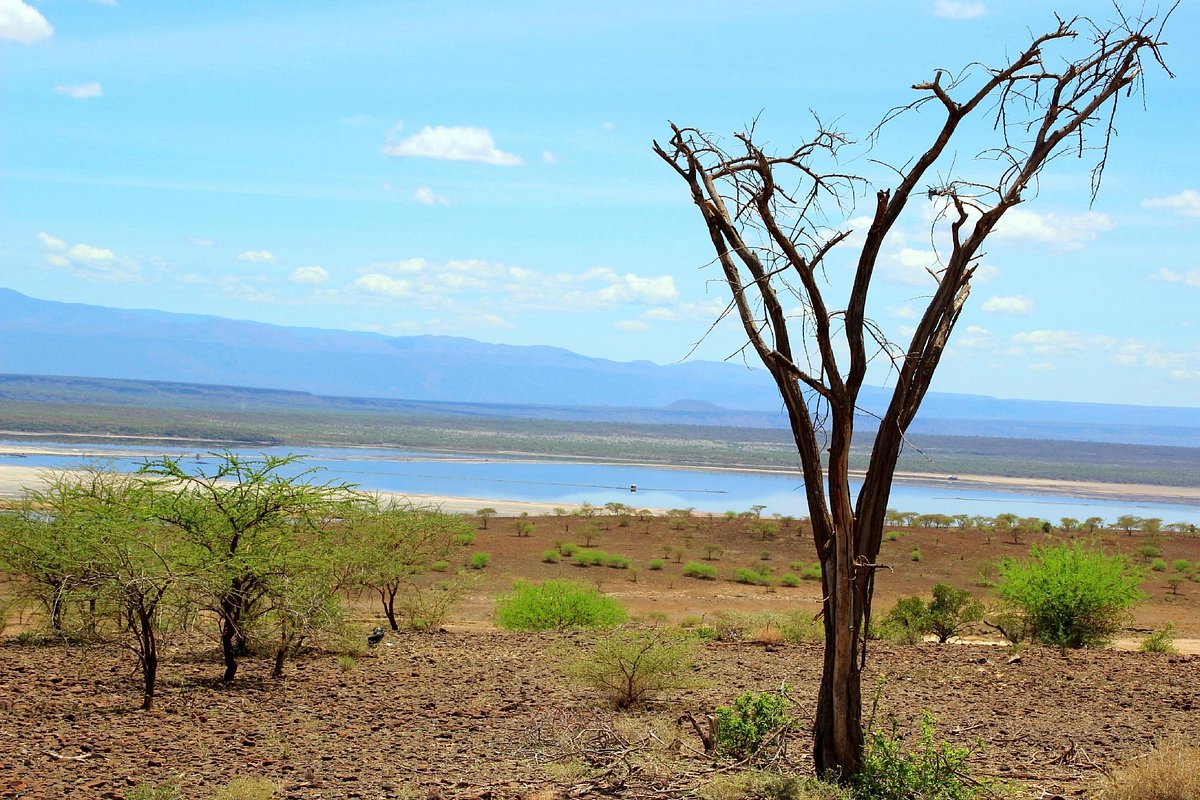 Ultimate Guide to Lake Magadi Serengeti